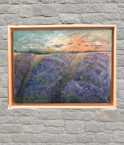 Campo de lavanda