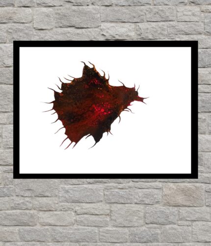 Amorfo 36